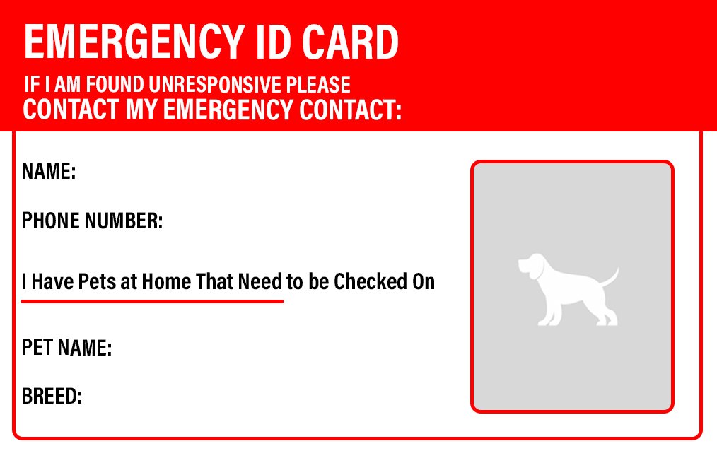 Quick Dog ID for Emergencies