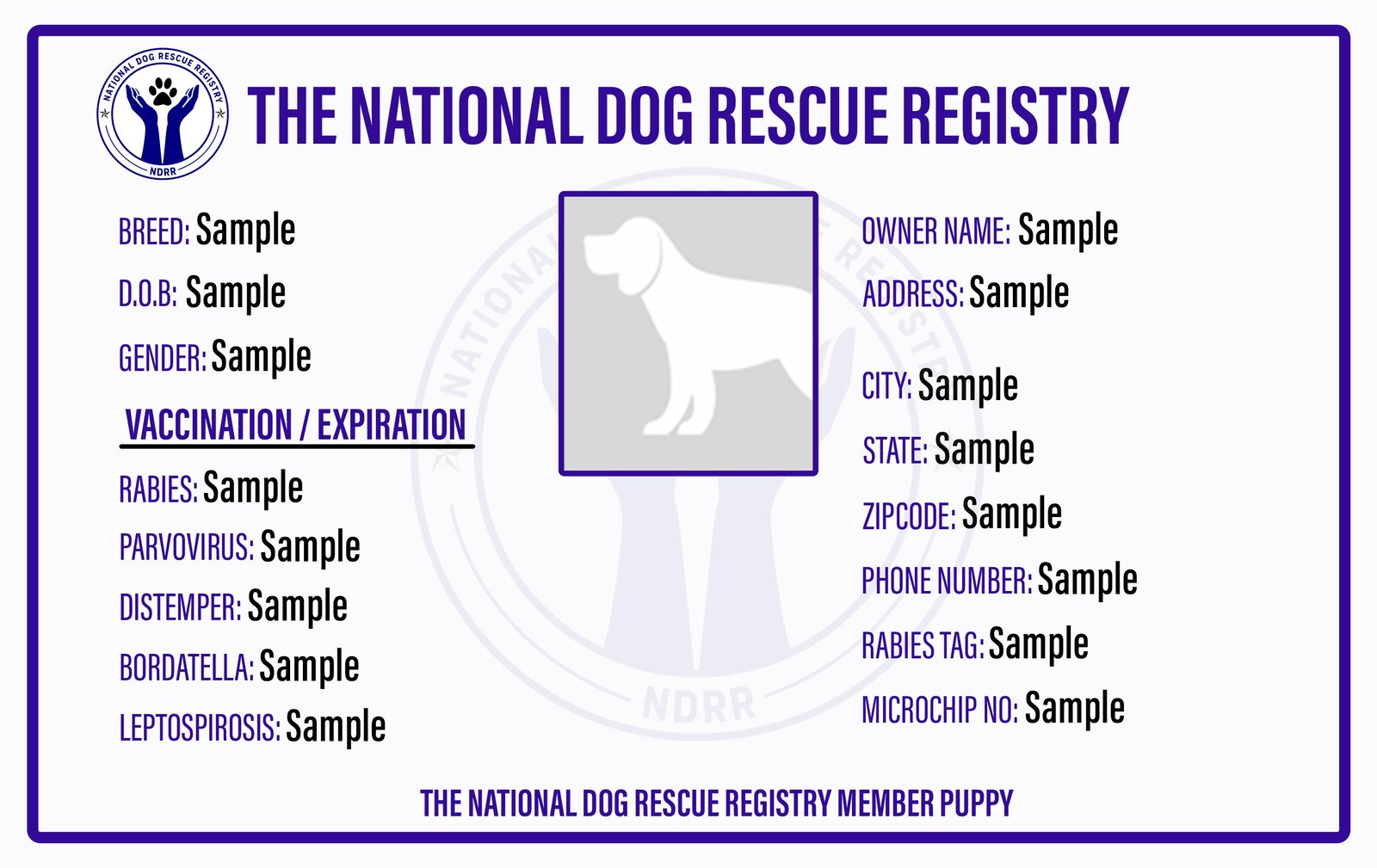 Quick Pet Record Registration