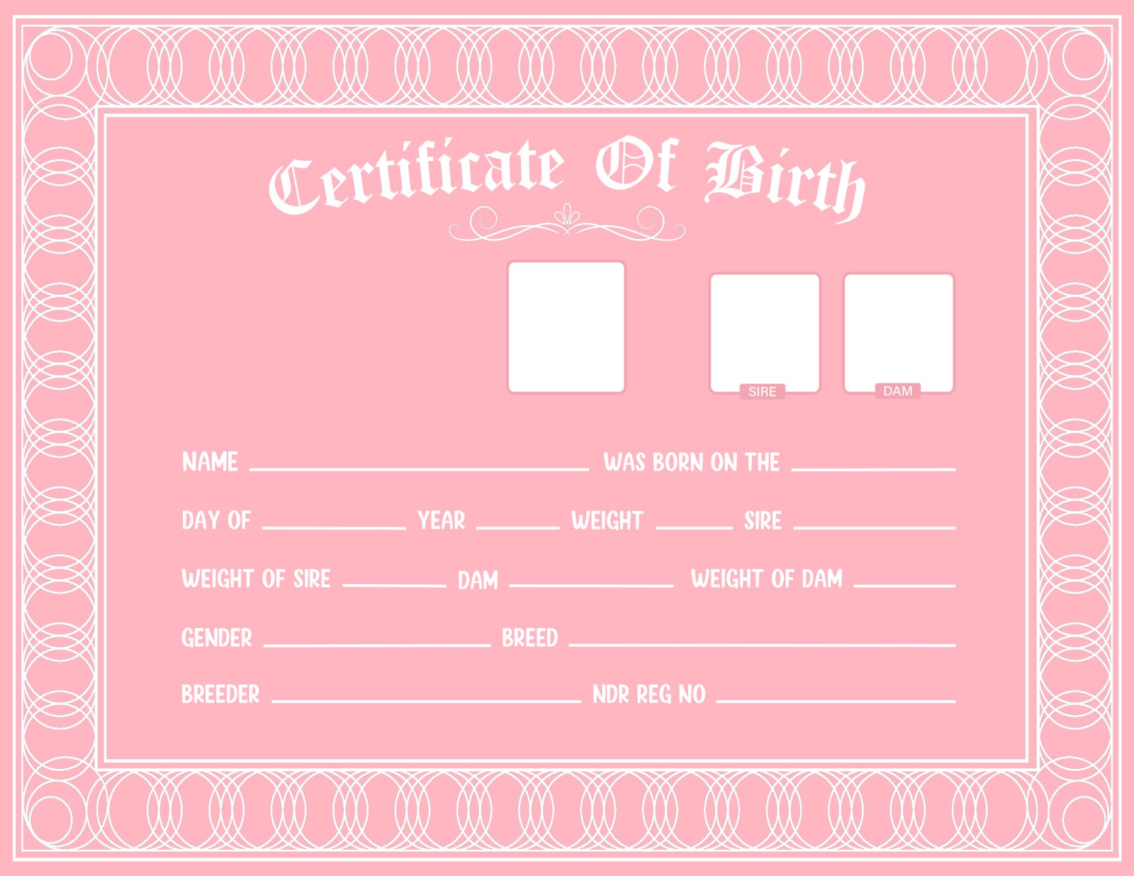 Official Pet Birth Records