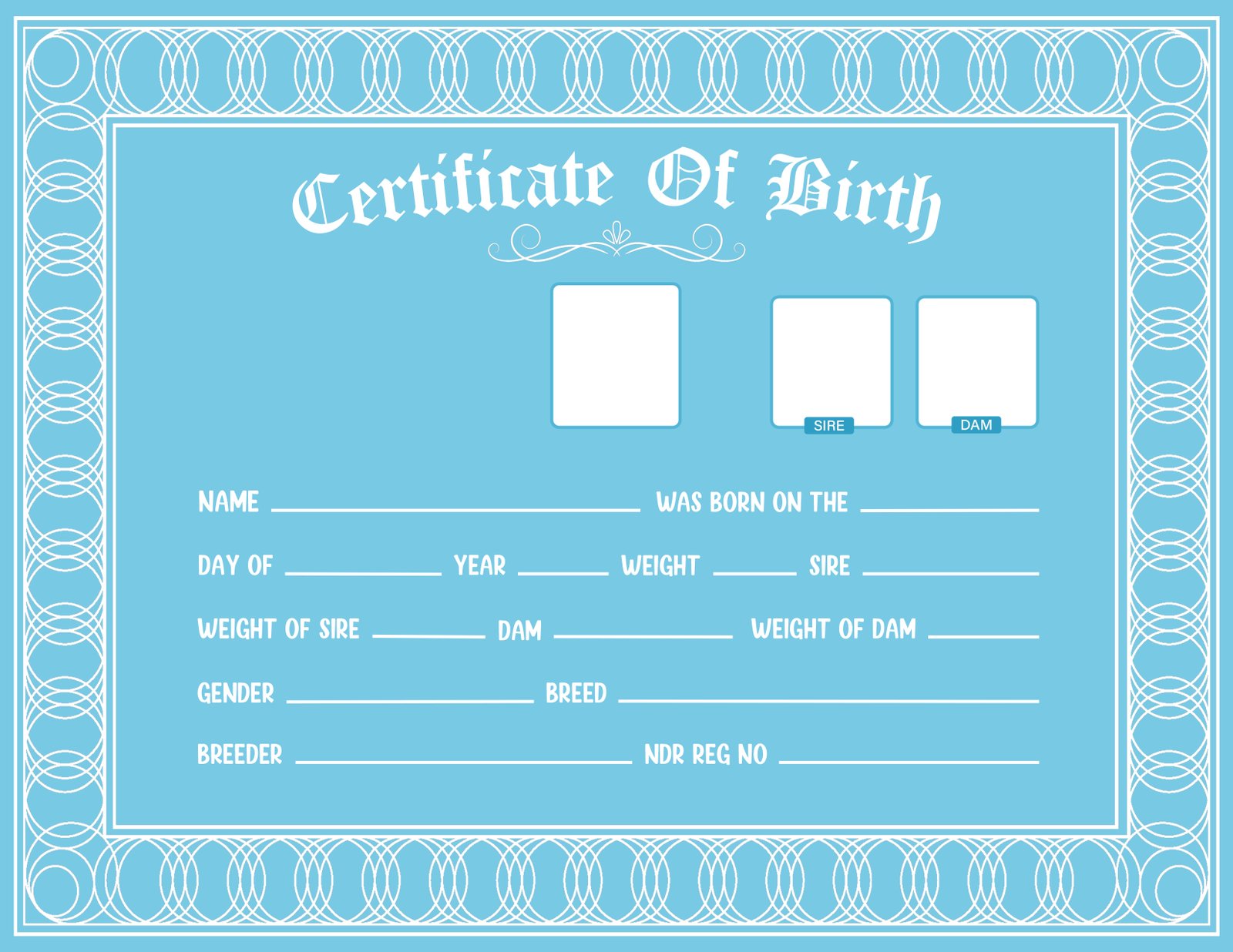 Pet Identity Certificate