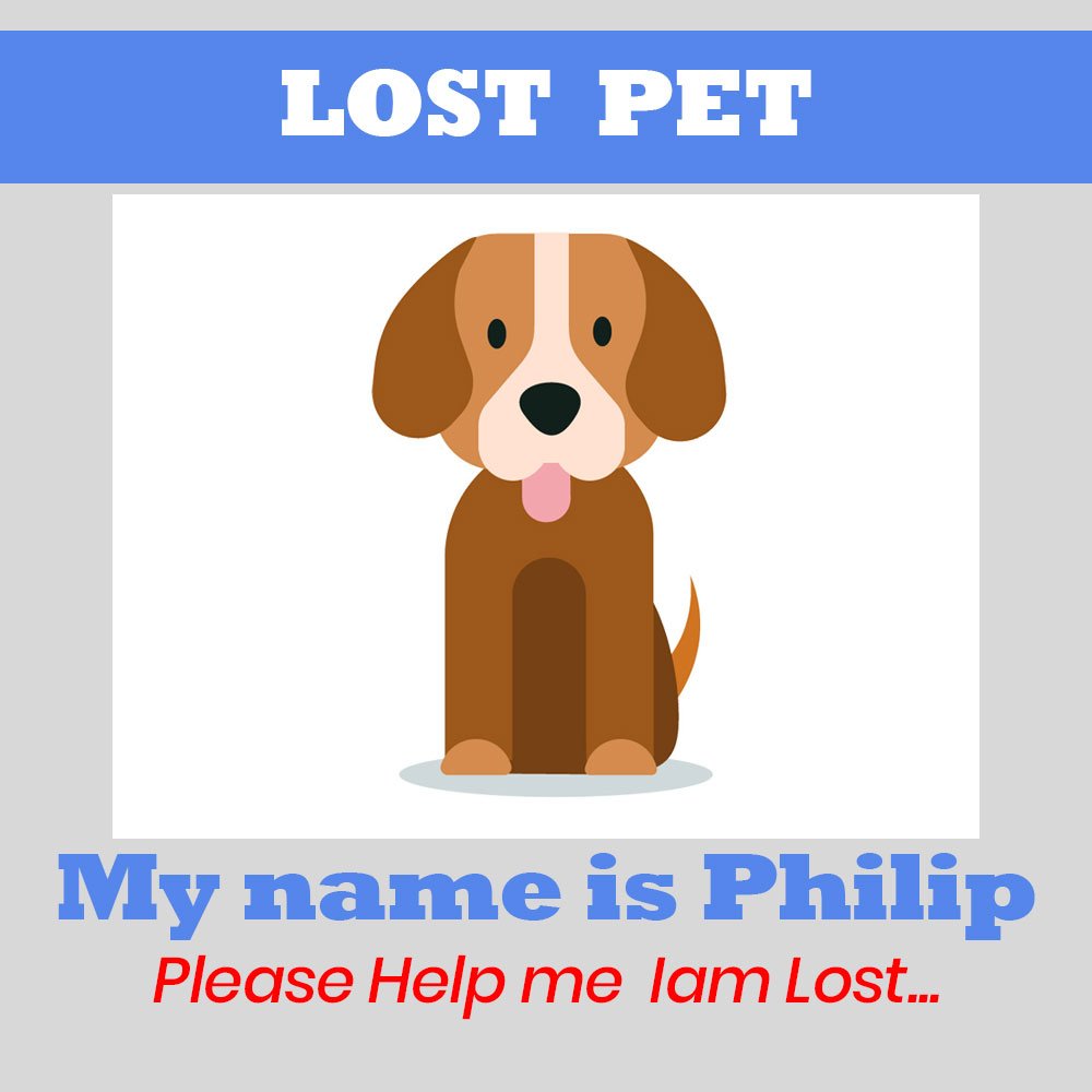 Lost and Found Pet Service